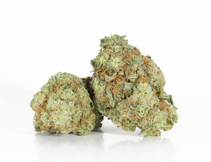 Royal Skywalker (Sativa)