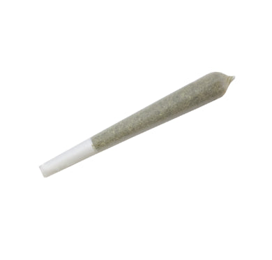 1x1g Premium Pre-Roll